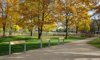 IMG_5370